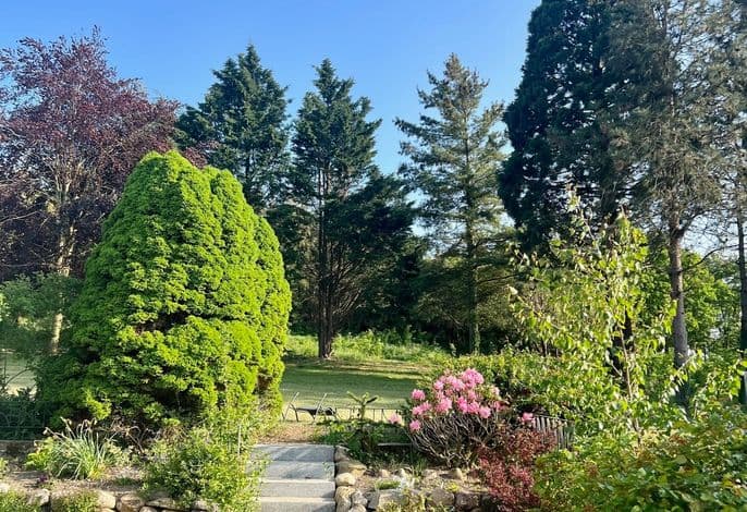 Naturidyll Mariendorf - Ferienwohnung Mammutbaum - Naturidyll Mariendorf - Ferienwohnung Mammutbaum