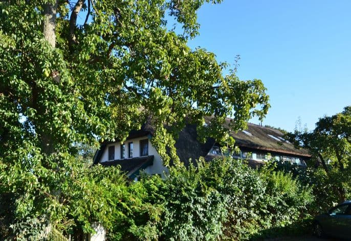 Großes Reethaus "Sanddorn" - Großes Reethaus "Sanddorn" detail 3