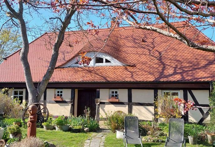 Ferienhaus mit Kaminofen, Terrasse und Blick in die Natur - Ferienhaus mit Kaminofen, Terrasse und Blick in die Natur