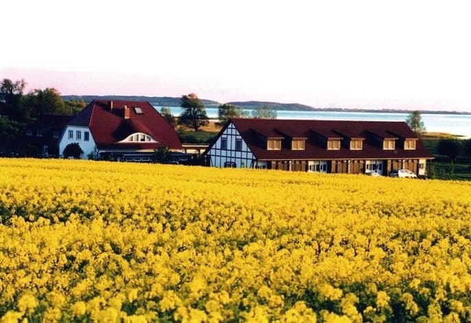 Hotel Der Wilde Schwan - Double room