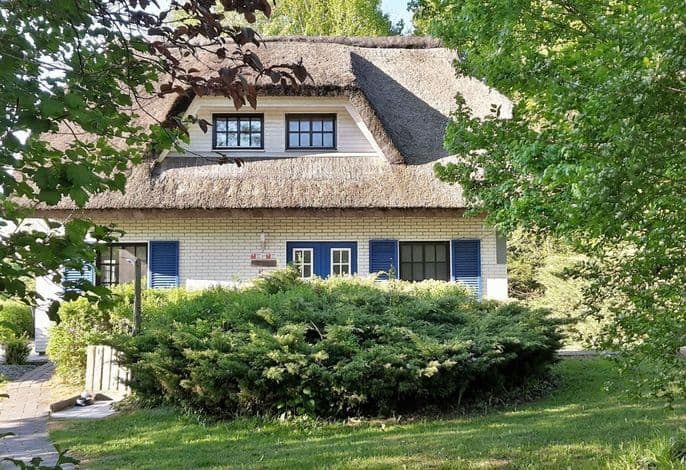 Haus-Zauberblau - Haus-Zauberblau .1 detail 1