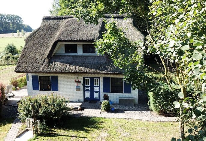 Haus-Zauberblau - Haus-Zauberblau .1 detail 3