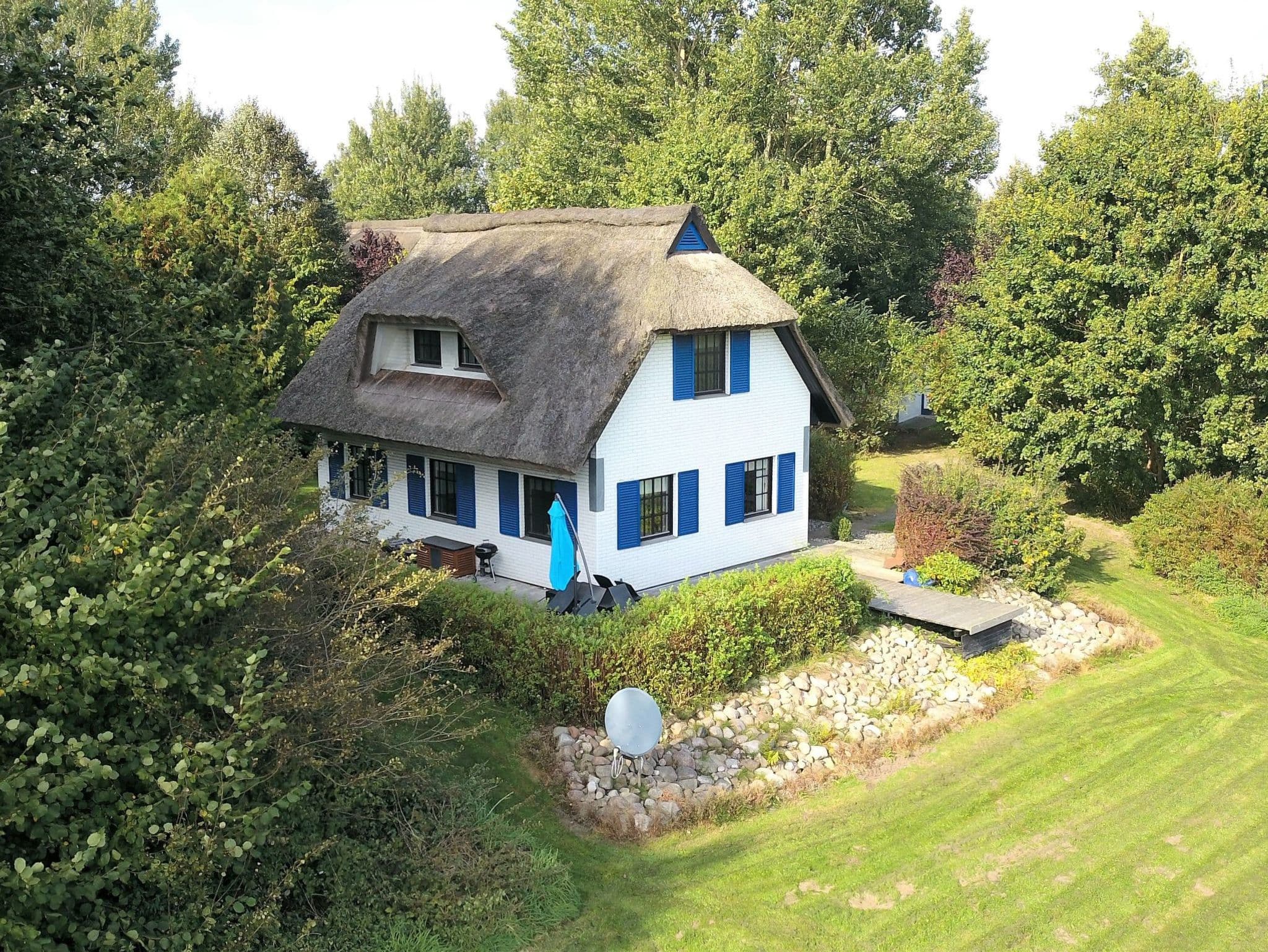 Haus-Zauberblau