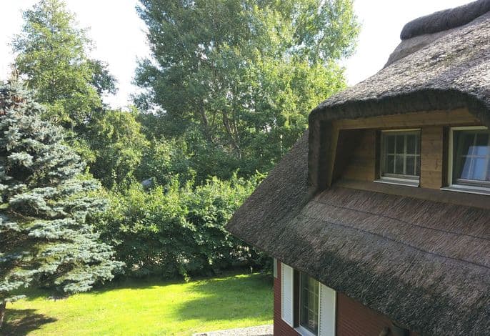 Idyllisches Reetdachhaus mit großem Garten - Idyllisches Reetdachhaus mit großem Garten .1 detail 1