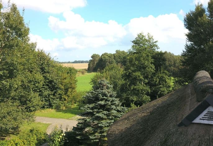 Idyllisches Reetdachhaus mit großem Garten - Idyllisches Reetdachhaus mit großem Garten .1 detail 2
