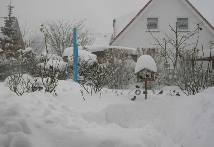 Fewo Urlaubsruh detail 3