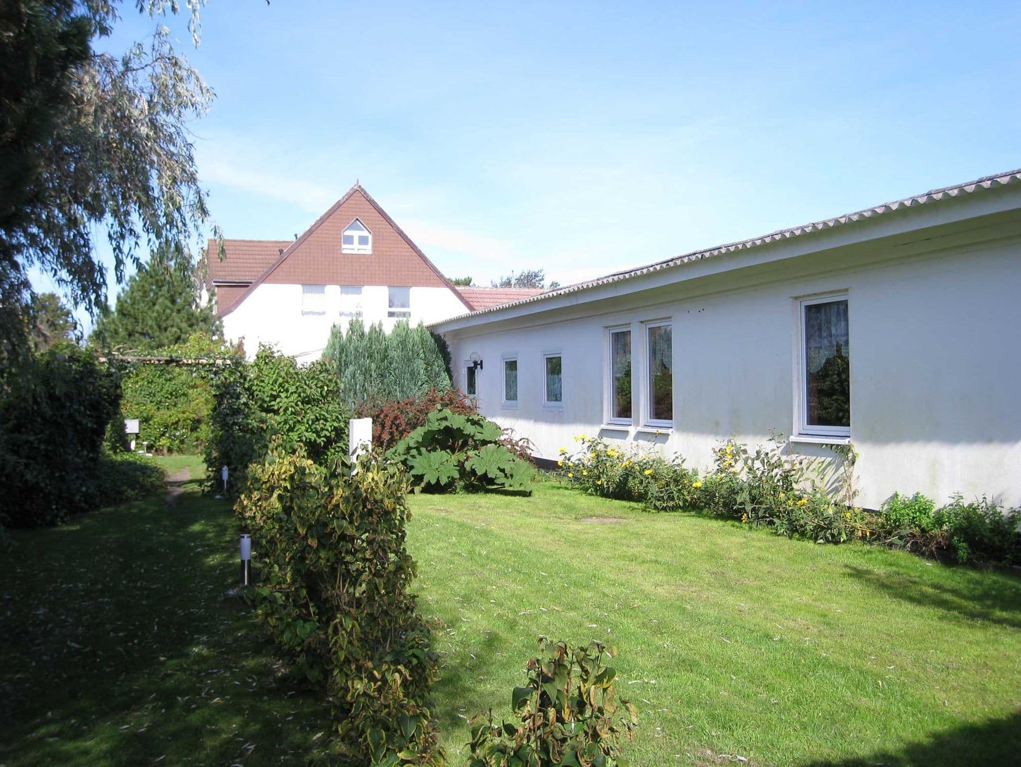 Seepferdchen