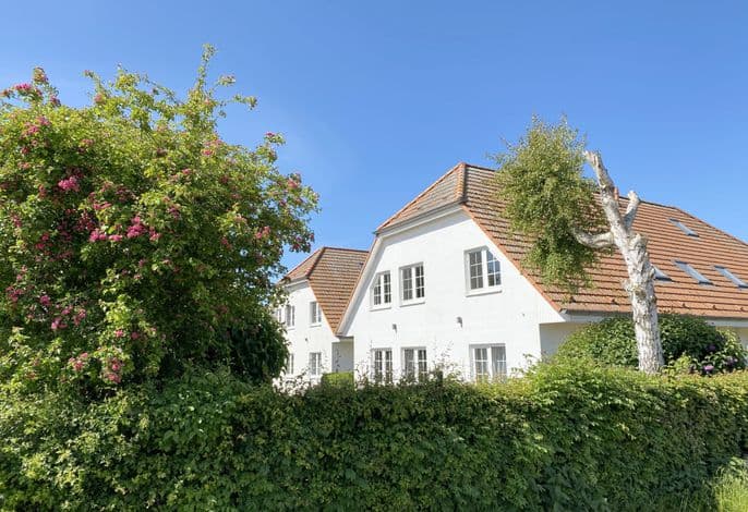 F: Lotsenberg Apartments mit 8 Ferienwohnungen mit Sauna detail 3