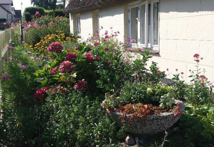 2 Raum-FeWo WestStube 45 qm, im