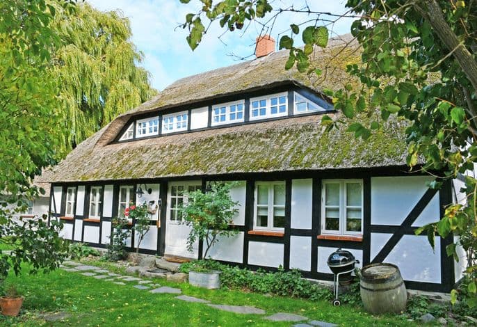Mönchguter Ferienhaus unterm Reetdach mit Kamin und Sauna - Mönchguter Ferienhaus unterm Reetdach mit Kamin und Sauna detail 3
