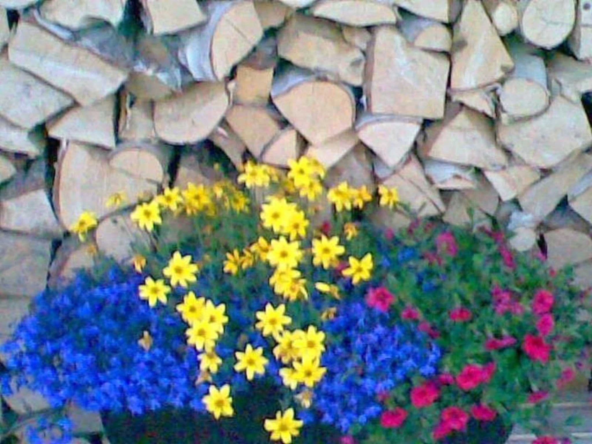 Rügen-Fewo 185 detail 4