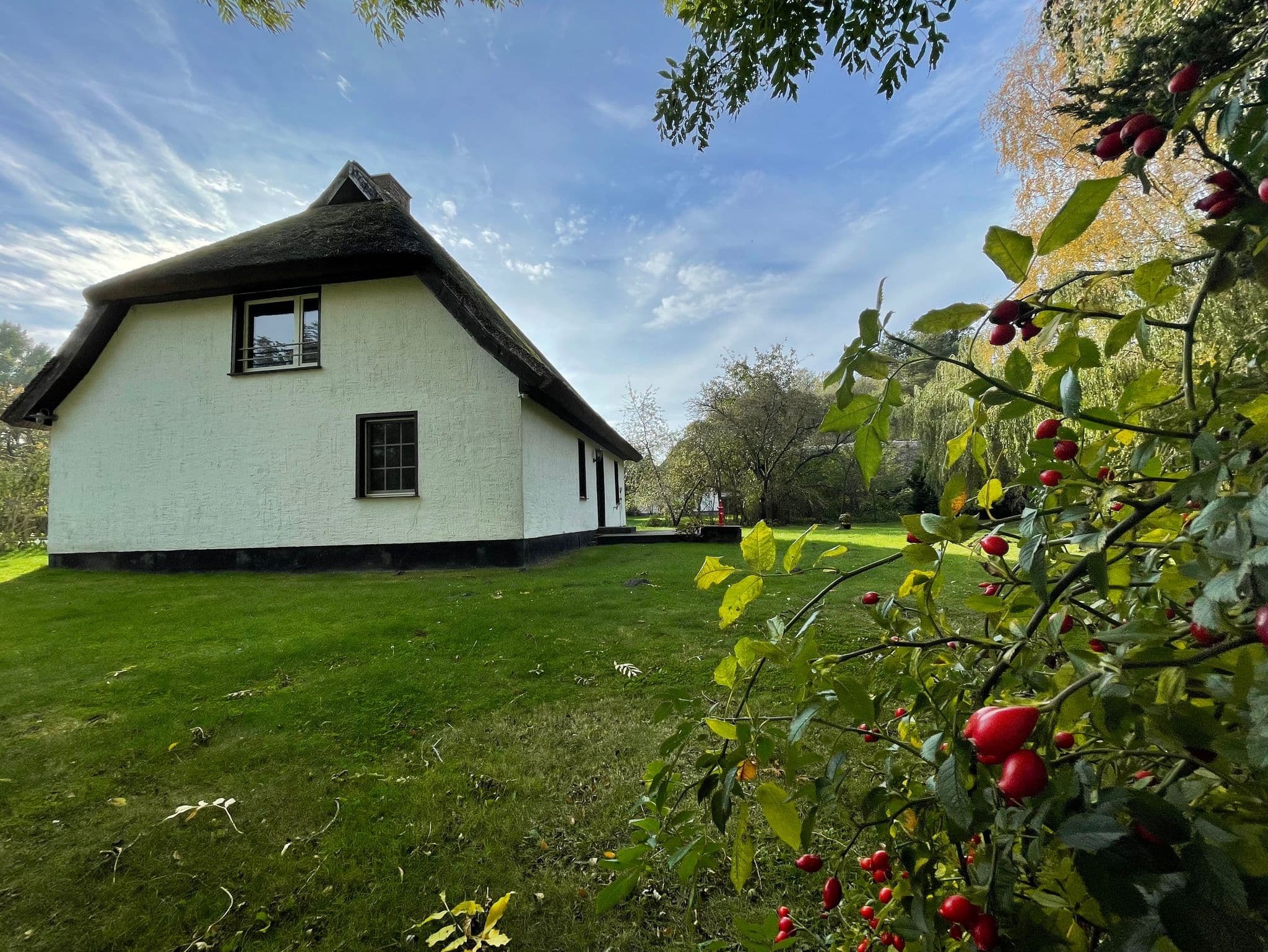 Ferienhaus mit Reetdach - HOL detail 4