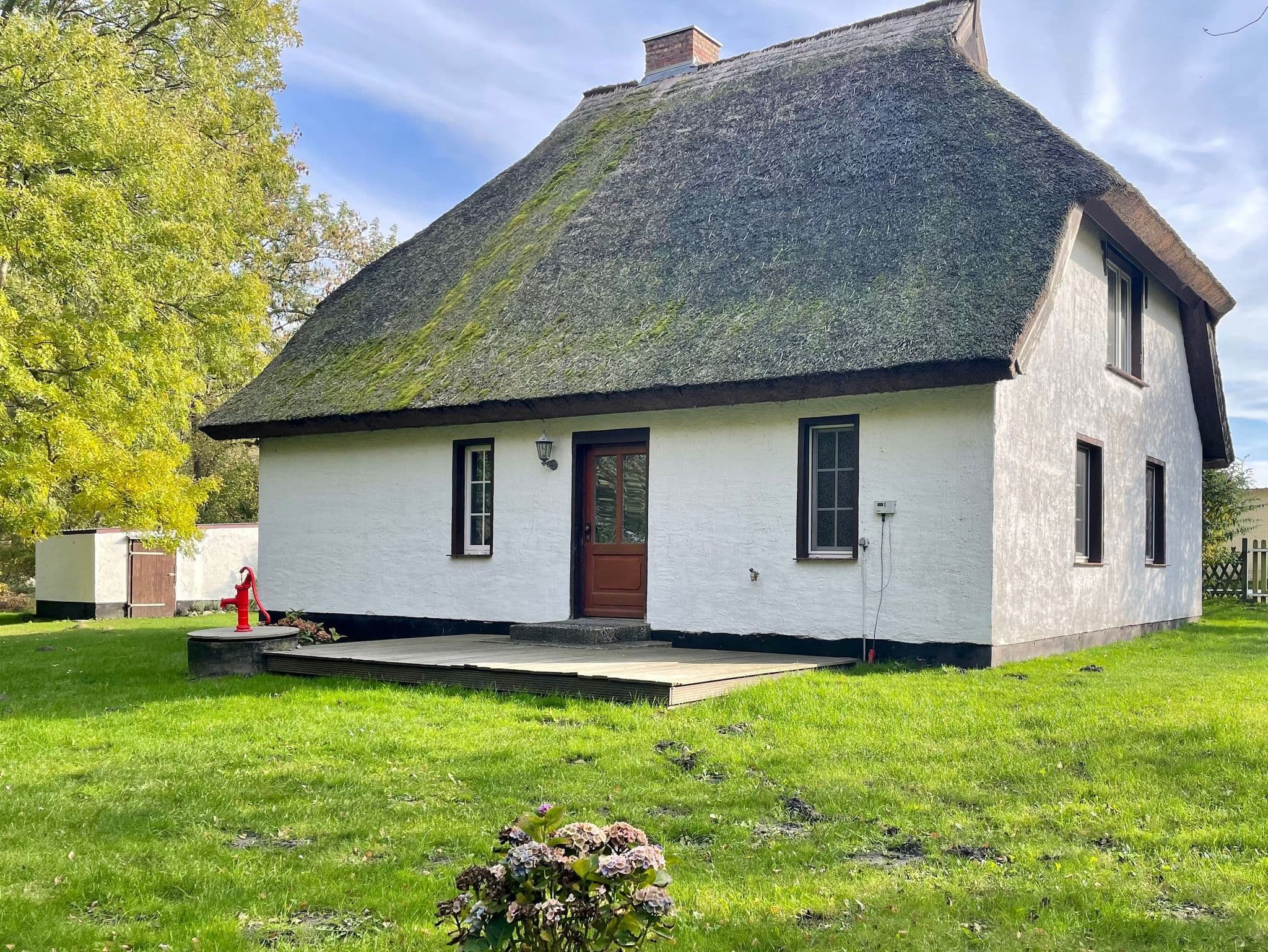 Ferienhaus mit Reetdach - HOL detail 2