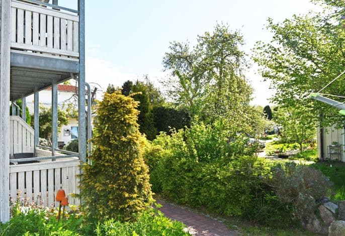 Ferienwohnungen mit Kamin und Blick zum Selliner Seepark detail 4
