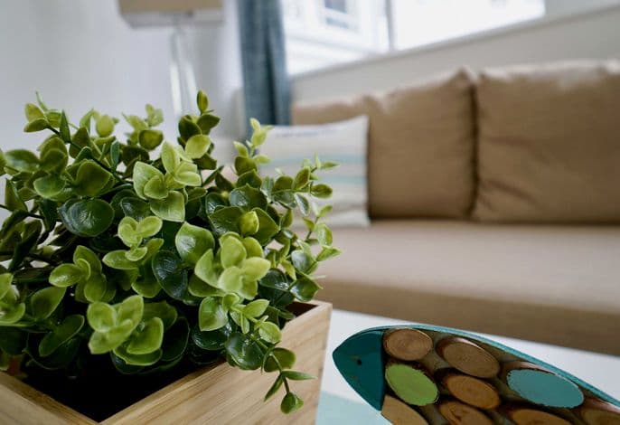 14 Ferienappartement Mönchgut (H) detail 3