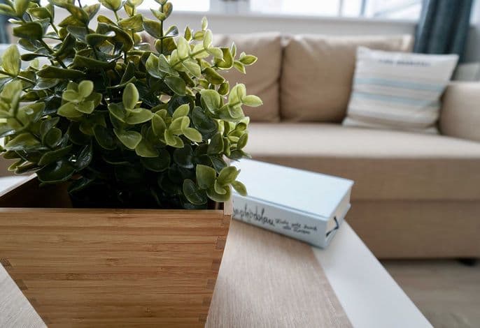 08 Ferienappartement Mönchgut detail 3