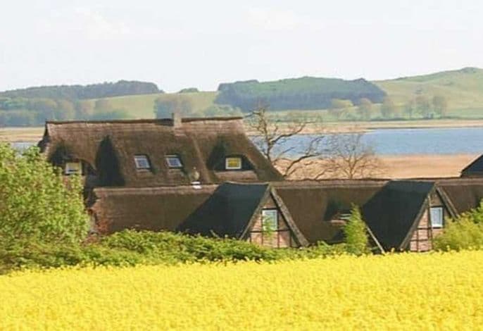 ,,Mönchgutperle detail 1