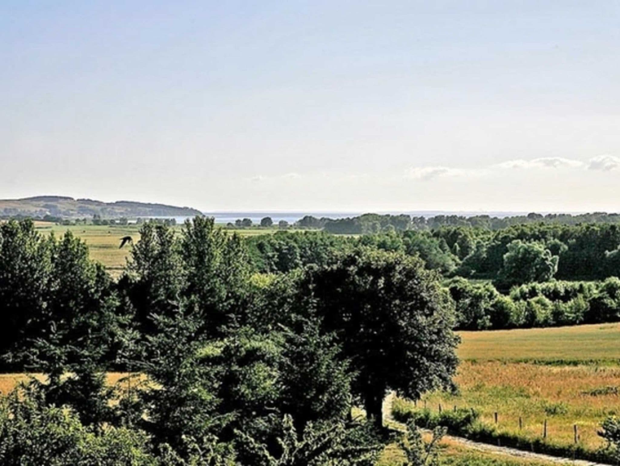 Villa Ostseeblick 5* mit Meer- und Boddenblick detail 2