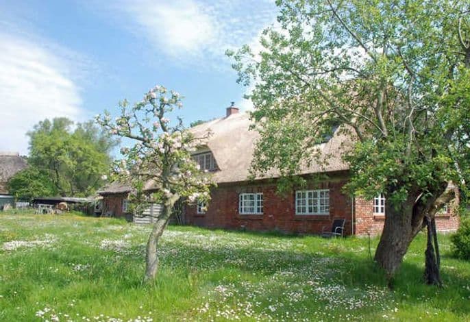 Ferienwohnungen in Groß Zicker auf der Insel Rügen