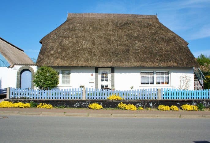 # Putbus, Komfortfewo Steuerrad