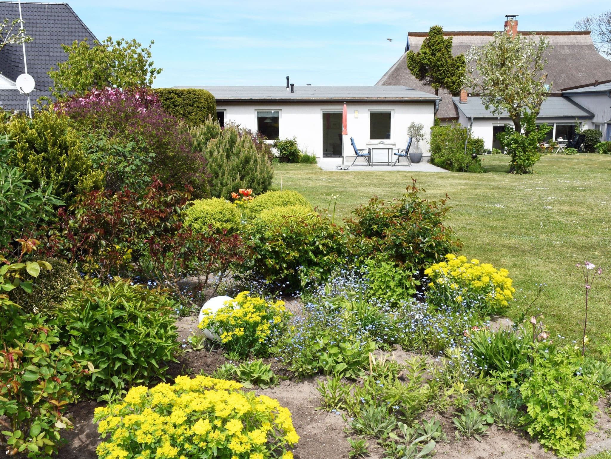 4 - Sterne Ferienhaus Am Brink mit Gartenter. und Meerblick detail 3