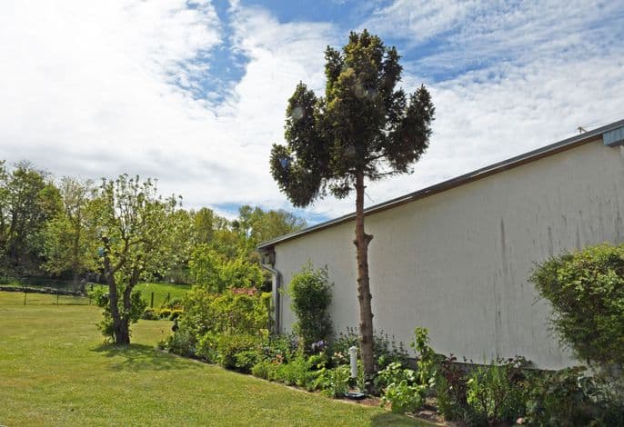 4 - Sterne Ferienhaus Am Brink mit Gartenter. und Meerblick detail 4