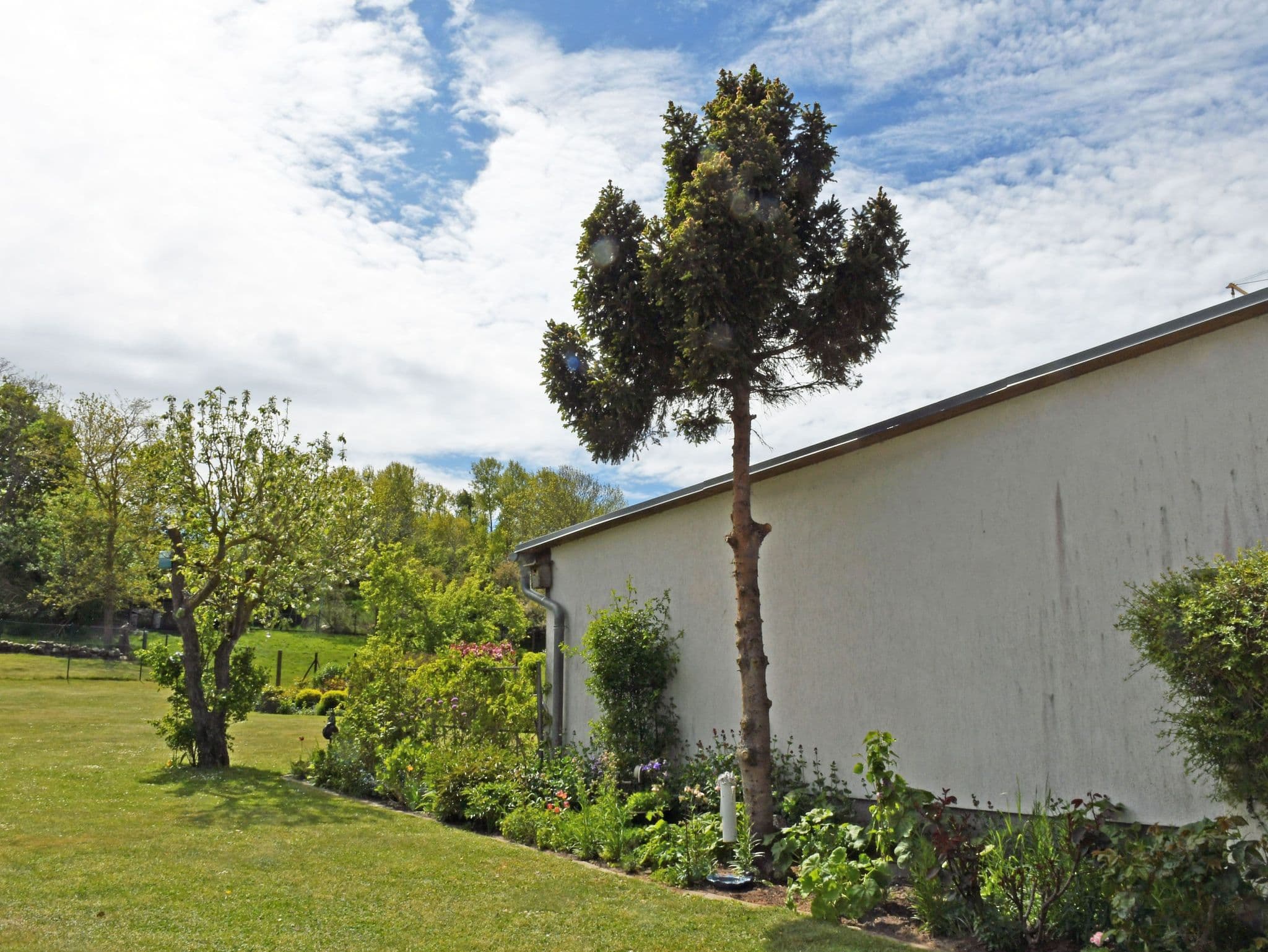 4 - Sterne Ferienhaus Am Brink mit Gartenter. und Meerblick detail 4