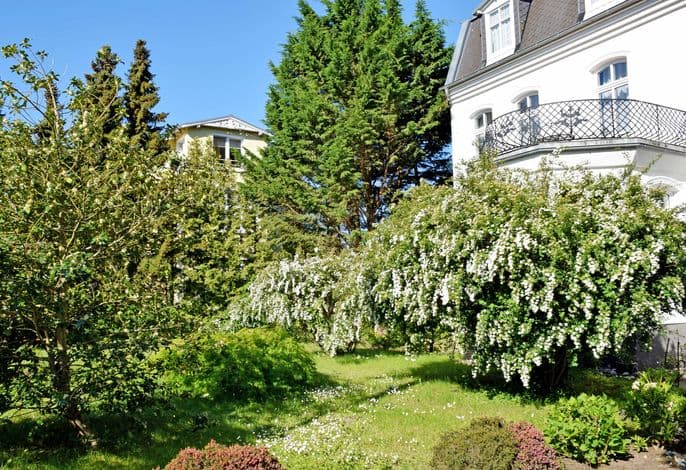 Villa im Ostseebad Baabe detail 4
