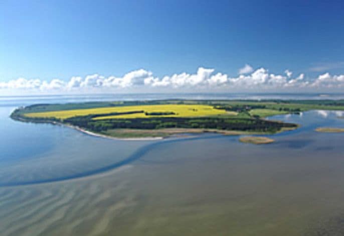 Herrenhaus Poppelvitz detail 3