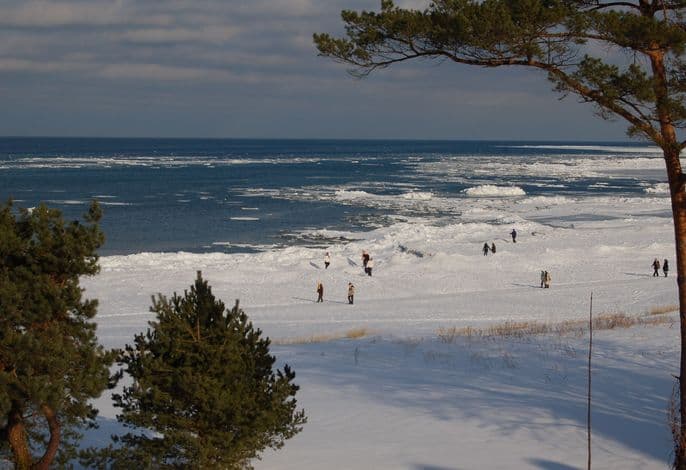 ! NEU ! Ferienhaus Binz detail 4