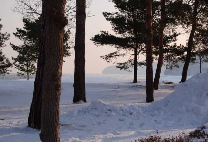 ! NEU ! Ferienhaus Binz detail 3