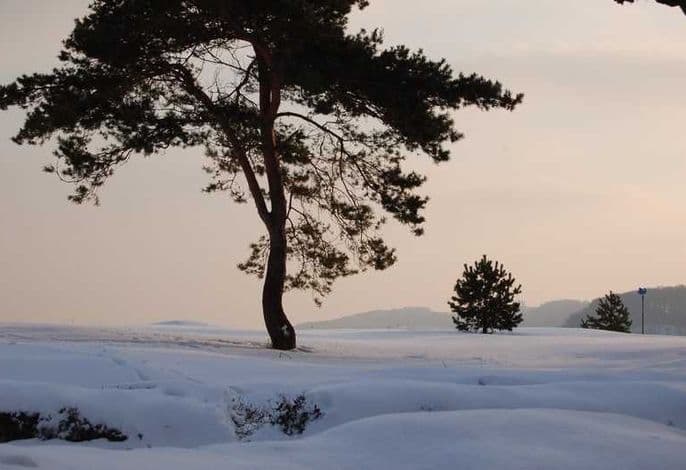 ! NEU ! Ferienhaus Binz detail 2