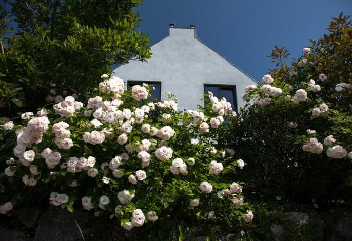 Ferienhaus Sonnensteg 23 detail 3