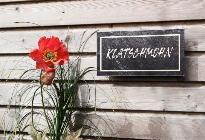 Klatschmohn - Kunsthof Salsitz detail 1
