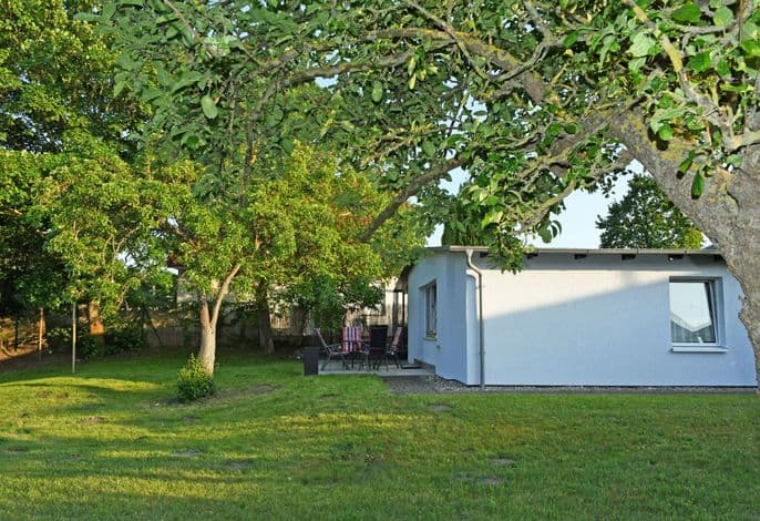 Ferienbungalow mit großem Garten im Ostseebad Göhren - Ferienbungalow mit großem Garten im Ostseebad Göhren detail 2