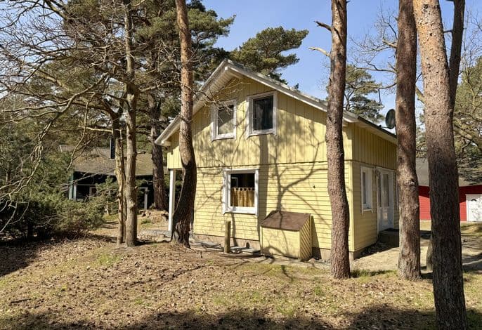 W: Strandhaus Dünenweg 17a mit Terrasse/Sauna/Kamin - Strandhaus Dünenweg 17a mit Terrasse/Sauna/Kamin detail 4