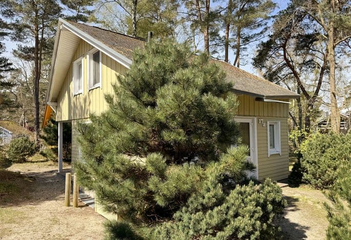 W: Strandhaus Dünenweg 17a mit Terrasse/Sauna/Kamin - Strandhaus Dünenweg 17a mit Terrasse/Sauna/Kamin