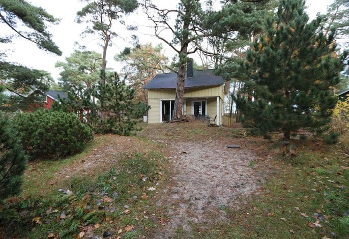 W: Strandhaus Dünenweg 39a mit Terrasse/Sauna/Kamin - Strandhaus Dünenweg 39a mit Terrasse/Sauna/Kamin detail 4