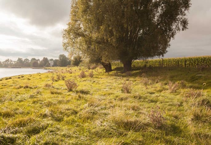 Wohnung 2. OG Rechts (1) detail 4