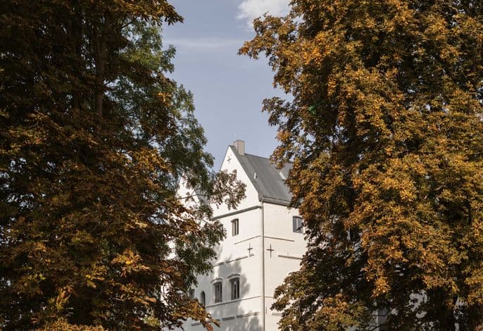 Gut Üselitz detail 4