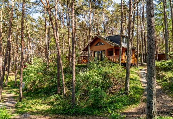 Ferienhaus Wald & Meer - Ferienhaus Wald & Meer