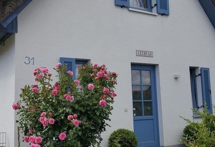 Ferienhaus Seehund - Ferienhaus Seehund detail 4