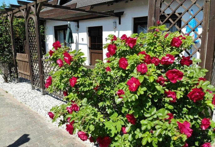 Ferienhaus Kreß rechts - Ferienhaus Kreß rechts detail 3