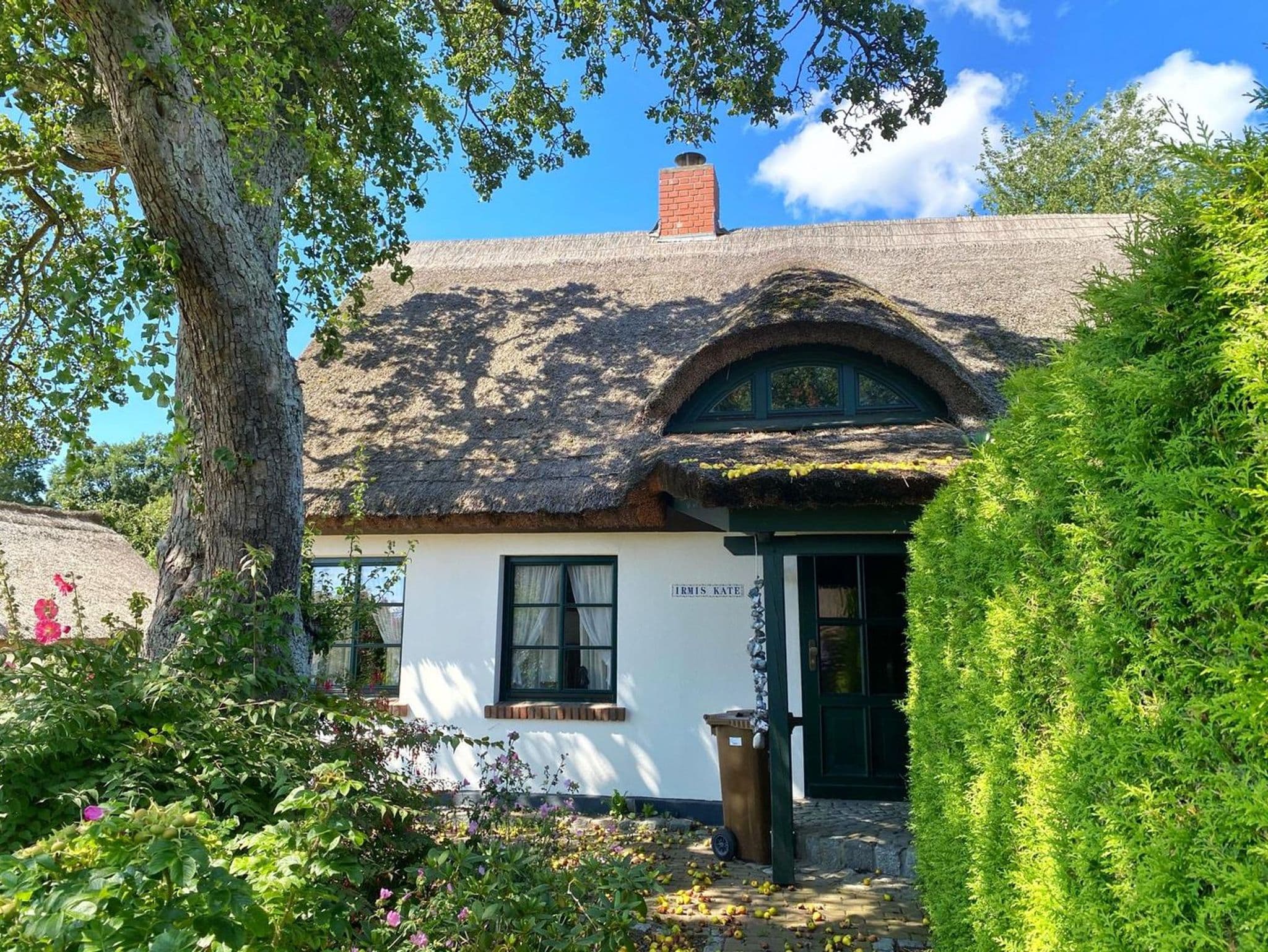 Groß Stresow - Irmi´s Kate - Ferienhaus und Doppelhaushälfte mit großem Garten detail 1