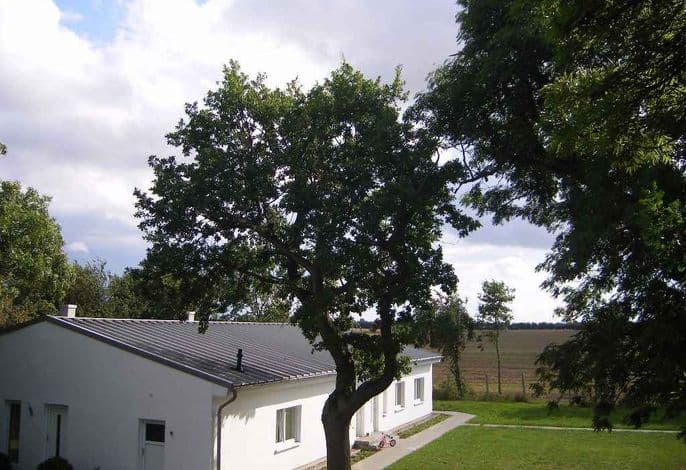 Ferienwohnung mit Fußbodenheizung, Kamin und Terrasse - Ferienwohnung mit Fußbodenheizung, Kamin und Terrasse detail 1
