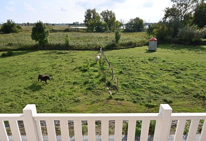 Ferienhaus mit Reetdach, großem Grundstück und Privatweg zum Hafen - Ferienhaus mit Reetdach, großem Grundstück und Privatweg zum Hafen detail 3