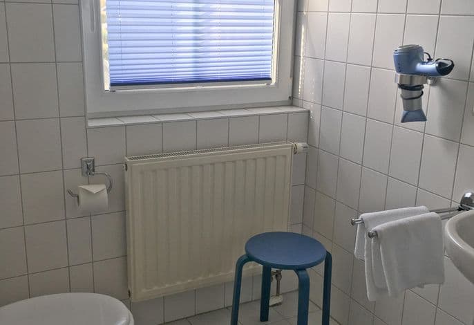 Hof Kranichstein detail 4