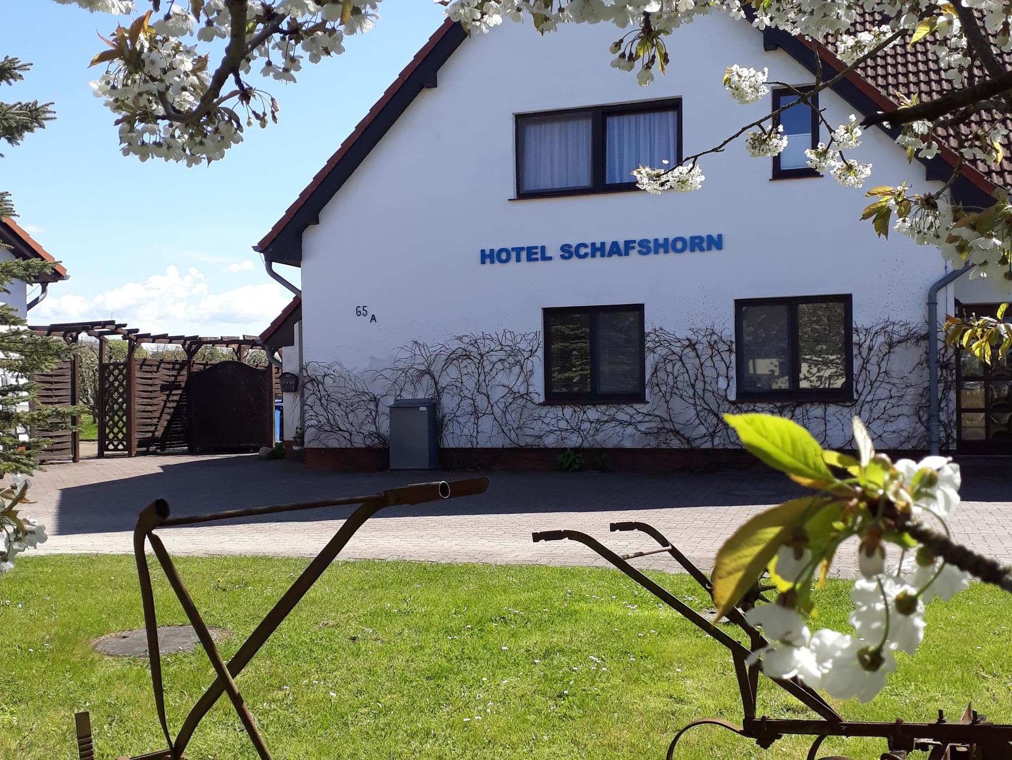 Landhotel Schafshorn detail 4