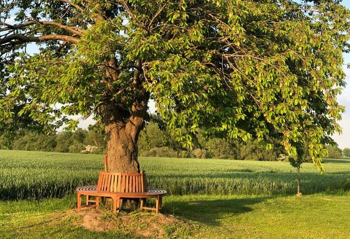 Bauernhaus auf Rügen detail 3