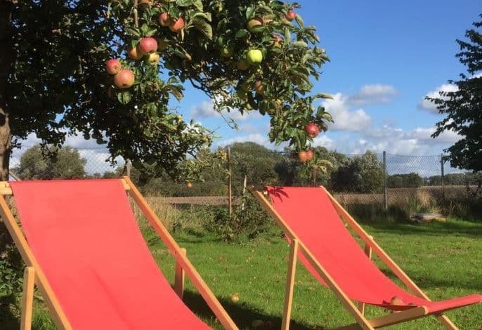 Bauernhaus auf Rügen detail 1
